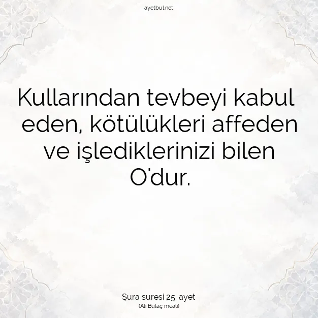 Ayetbul | Kuran Mealleri | Quran | Şura suresi 25. ayet