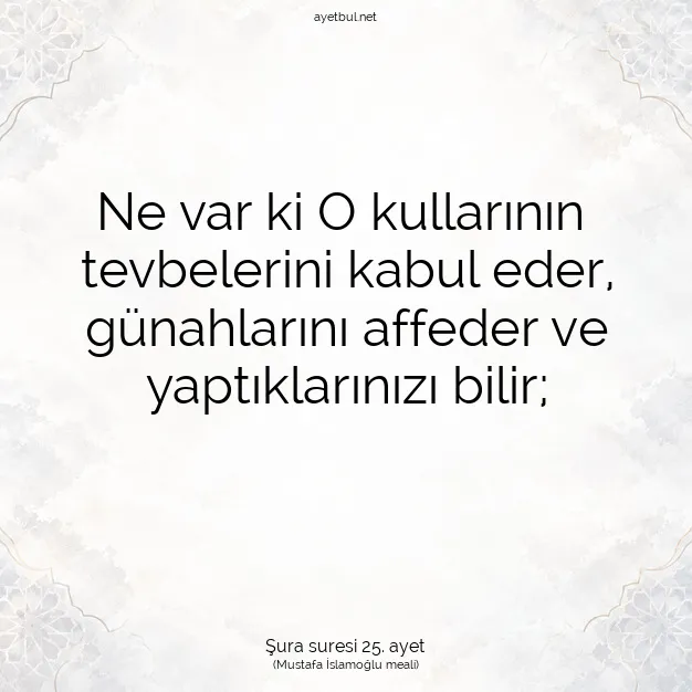 Ayetbul | Kuran Mealleri | Quran | Şura suresi 25. ayet