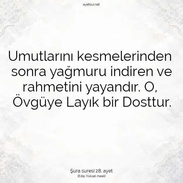 Ayetbul | Kuran Mealleri | Quran | Şura suresi 28. ayet