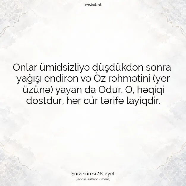 Ayetbul | Kuran Mealleri | Quran | Şura suresi 28. ayet