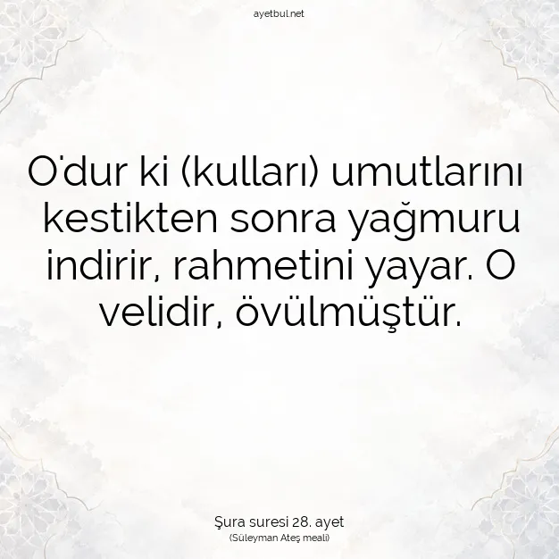 Ayetbul | Kuran Mealleri | Quran | Şura suresi 28. ayet