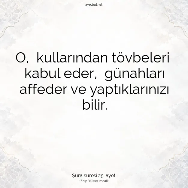Ayetbul | Kuran Mealleri | Quran | Şura suresi 25. ayet