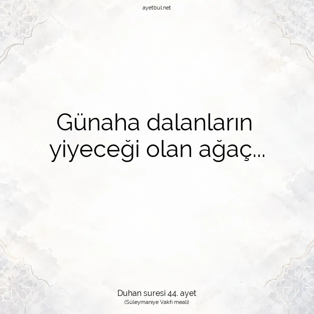 Ayetbul | Kuran Mealleri | Quran | Duhan suresi 44. ayet