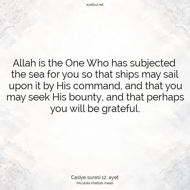 Ayetbul | Kuran Mealleri | Quran | Casiye suresi 12. ayet