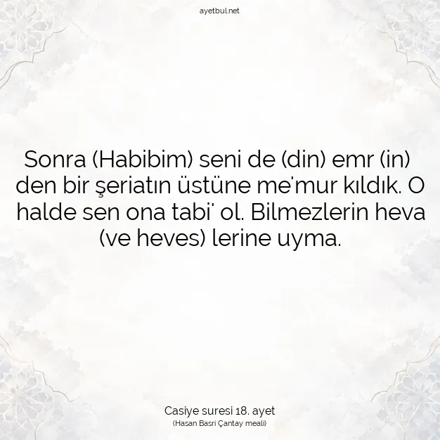 Ayetbul | Kuran Mealleri | Quran | Casiye suresi 18. ayet