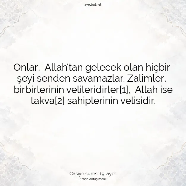 Ayetbul | Kuran Mealleri | Quran | Casiye suresi 19. ayet