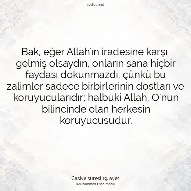Ayetbul | Kuran Mealleri | Quran | Casiye suresi 19. ayet