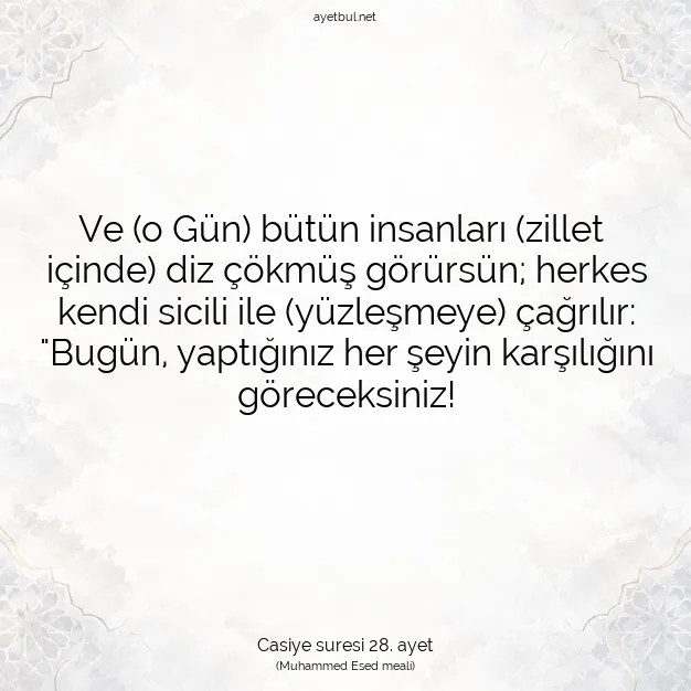 Ayetbul | Kuran Mealleri | Quran | Casiye suresi 28. ayet