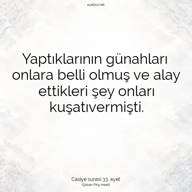 Ayetbul | Kuran Mealleri | Quran | Casiye suresi 33. ayet