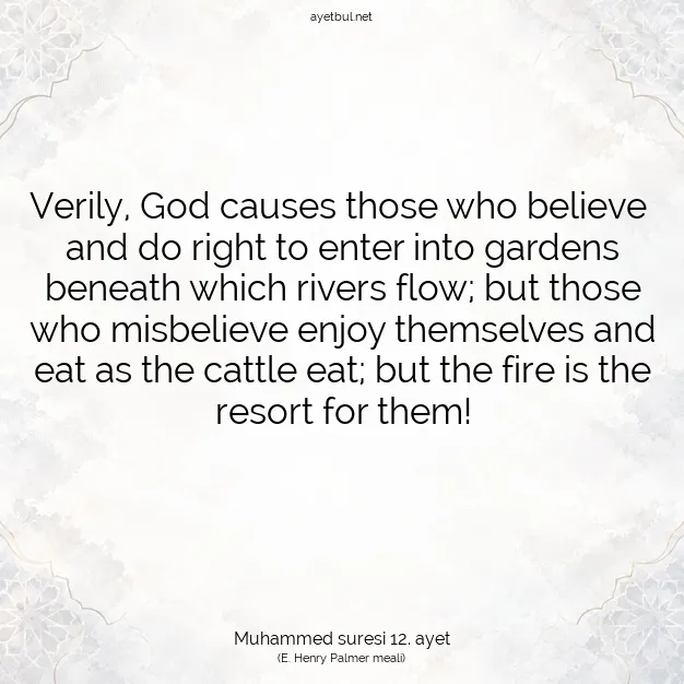 Ayetbul | Kuran Mealleri | Quran | Muhammed suresi 12. ayet