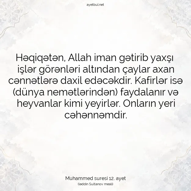 Ayetbul | Kuran Mealleri | Quran | Muhammed suresi 12. ayet