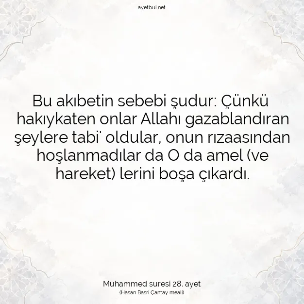 Ayetbul | Kuran Mealleri | Quran | Muhammed suresi 28. ayet