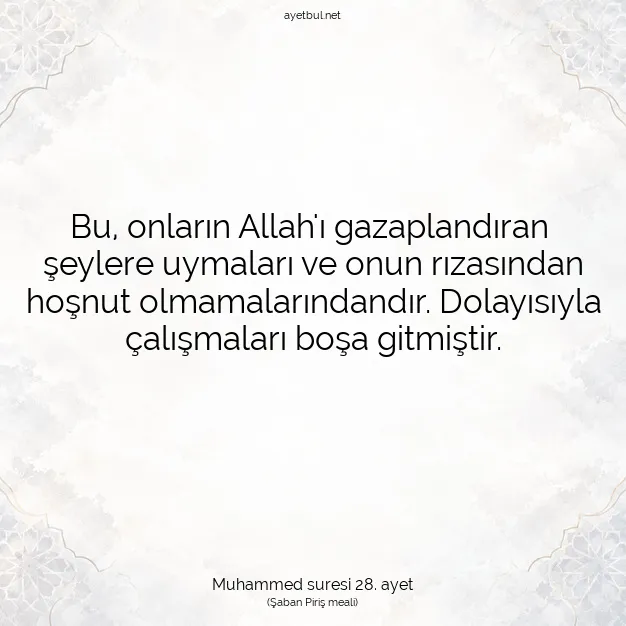 Ayetbul | Kuran Mealleri | Quran | Muhammed suresi 28. ayet