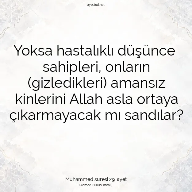 Ayetbul | Kuran Mealleri | Quran | Muhammed suresi 29. ayet