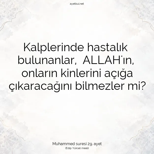 Ayetbul | Kuran Mealleri | Quran | Muhammed suresi 29. ayet