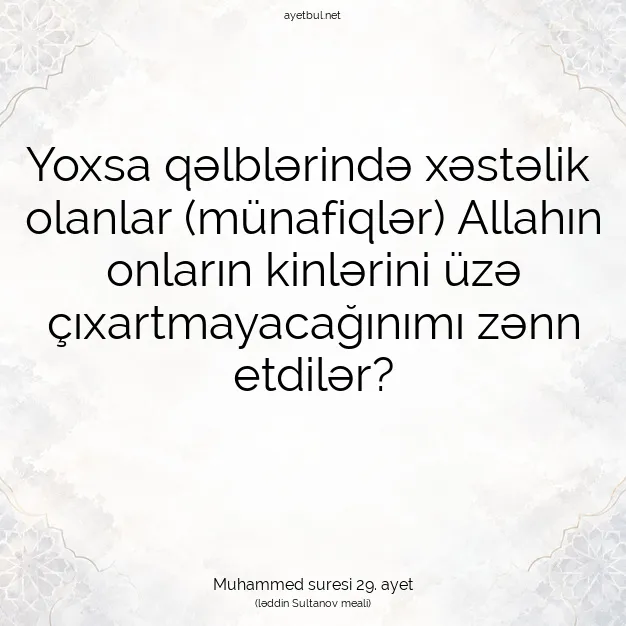 Ayetbul | Kuran Mealleri | Quran | Muhammed suresi 29. ayet