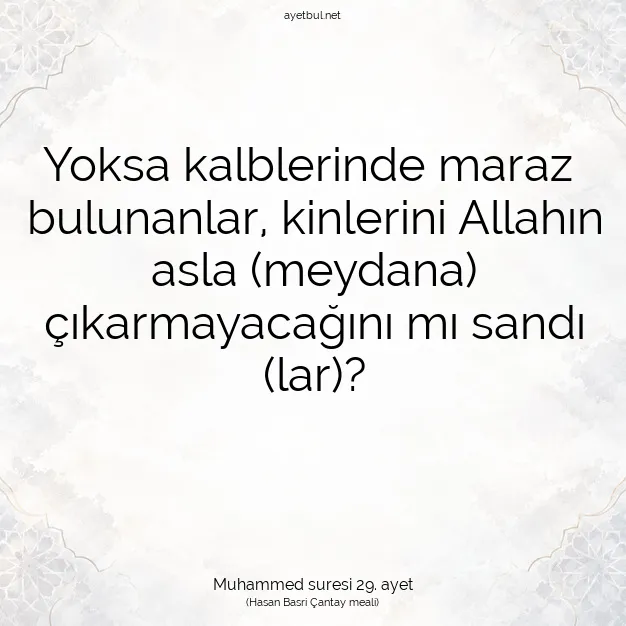 Ayetbul | Kuran Mealleri | Quran | Muhammed suresi 29. ayet