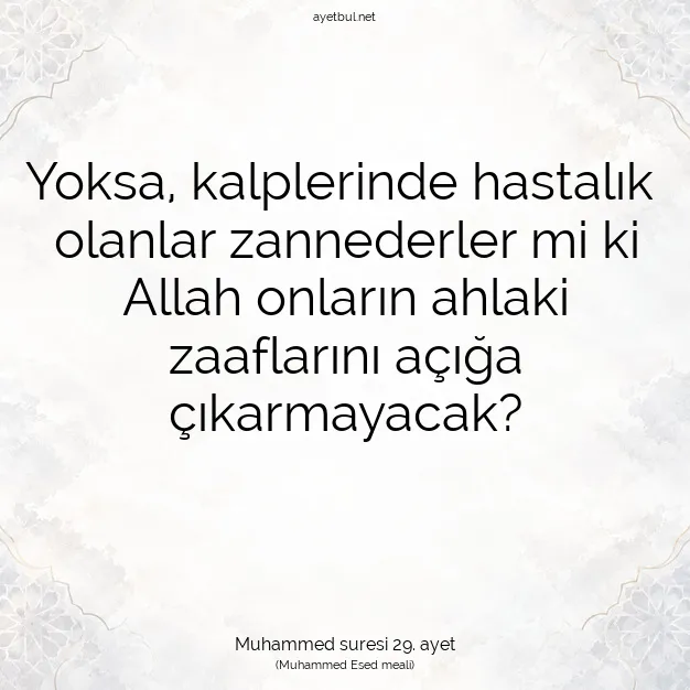 Ayetbul | Kuran Mealleri | Quran | Muhammed suresi 29. ayet