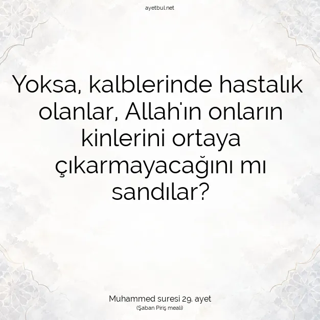 Ayetbul | Kuran Mealleri | Quran | Muhammed suresi 29. ayet