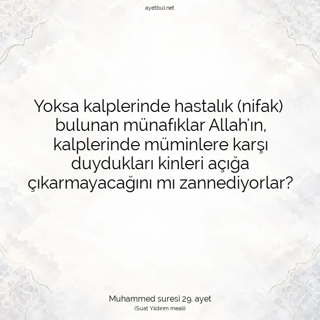 Ayetbul | Kuran Mealleri | Quran | Muhammed suresi 29. ayet