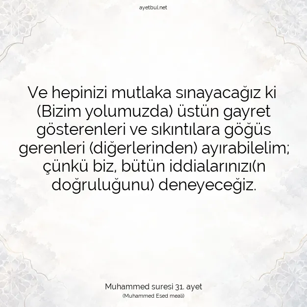 Ayetbul | Kuran Mealleri | Quran | Muhammed suresi 31. ayet