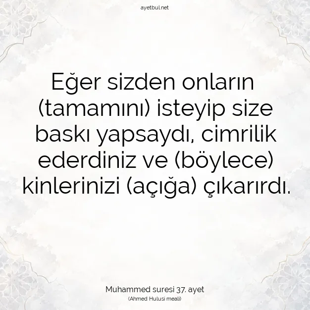 Ayetbul | Kuran Mealleri | Quran | Muhammed suresi 37. ayet