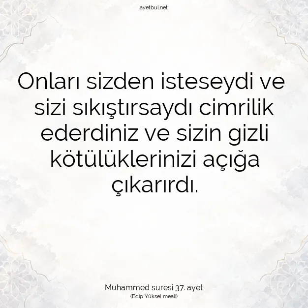 Ayetbul | Kuran Mealleri | Quran | Muhammed suresi 37. ayet