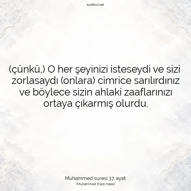 Ayetbul | Kuran Mealleri | Quran | Muhammed suresi 37. ayet