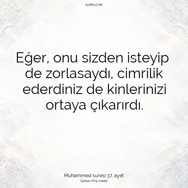 Ayetbul | Kuran Mealleri | Quran | Muhammed suresi 37. ayet