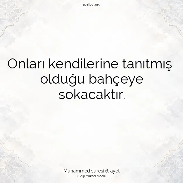 Ayetbul | Kuran Mealleri | Quran | Muhammed suresi 6. ayet