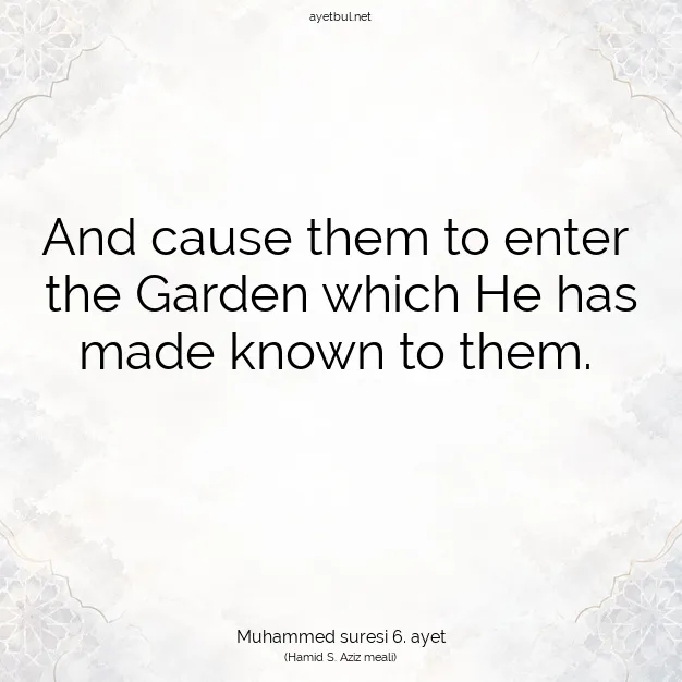 Ayetbul | Kuran Mealleri | Quran | Muhammed suresi 6. ayet