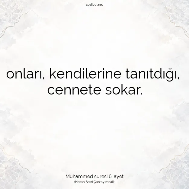 Ayetbul | Kuran Mealleri | Quran | Muhammed suresi 6. ayet