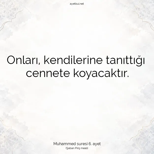 Ayetbul | Kuran Mealleri | Quran | Muhammed suresi 6. ayet