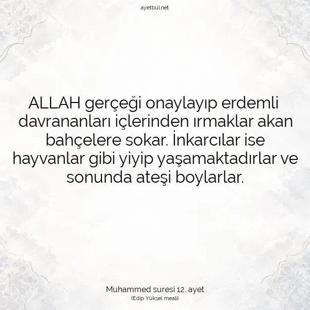 Ayetbul | Kuran Mealleri | Quran | Muhammed suresi 12. ayet