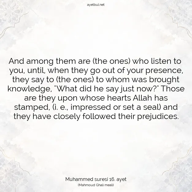 Ayetbul | Kuran Mealleri | Quran | Muhammed suresi 16. ayet