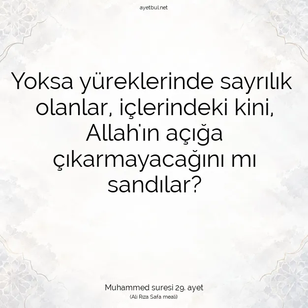Ayetbul | Kuran Mealleri | Quran | Muhammed suresi 29. ayet