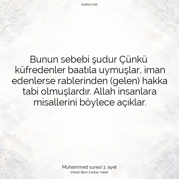 Ayetbul | Kuran Mealleri | Quran | Muhammed suresi 3. ayet