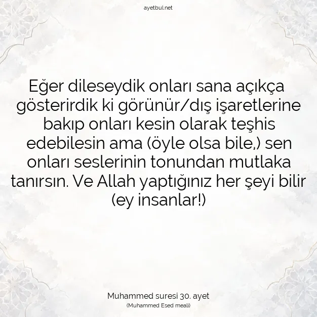 Ayetbul | Kuran Mealleri | Quran | Muhammed suresi 30. ayet