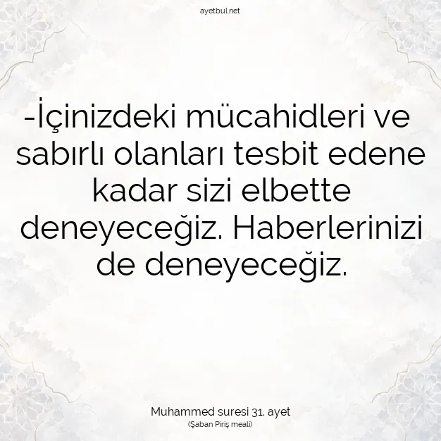 Ayetbul | Kuran Mealleri | Quran | Muhammed suresi 31. ayet