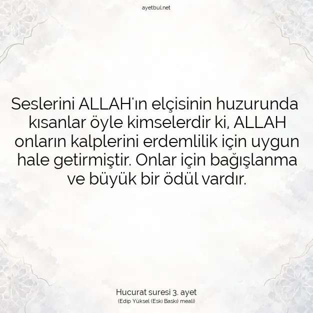 Ayetbul | Kuran Mealleri | Quran | Hucurat suresi 3. ayet