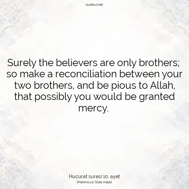Ayetbul | Kuran Mealleri | Quran | Hucurat suresi 10. ayet