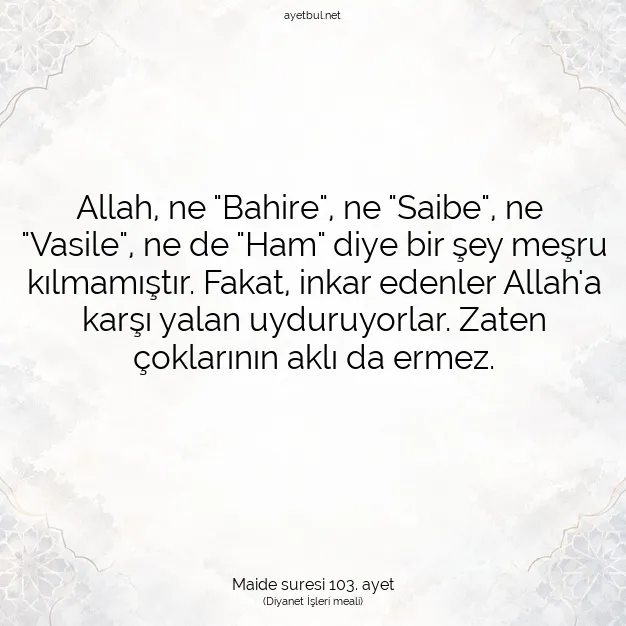 Ayetbul | Kuran Mealleri | Quran | Maide suresi 103. ayet