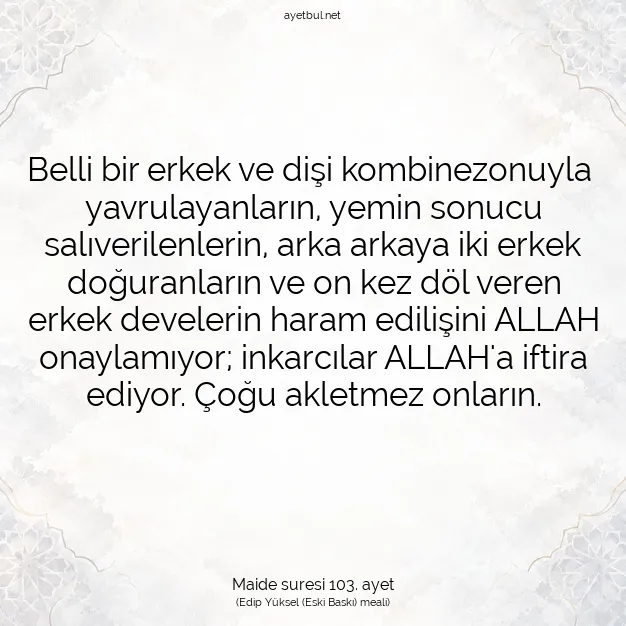 Ayetbul | Kuran Mealleri | Quran | Maide suresi 103. ayet