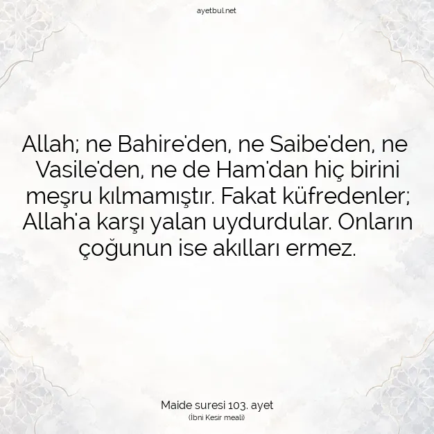 Ayetbul | Kuran Mealleri | Quran | Maide suresi 103. ayet