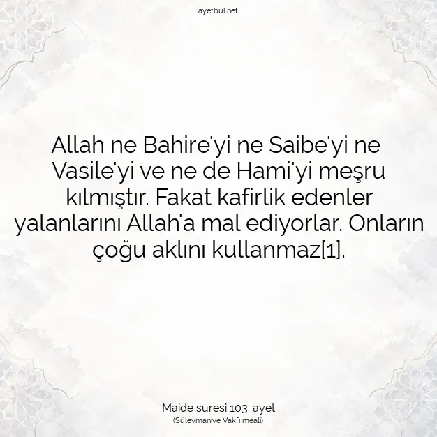 Ayetbul | Kuran Mealleri | Quran | Maide suresi 103. ayet