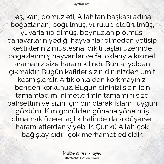 Ayetbul | Kuran Mealleri | Quran | Maide suresi 3. ayet