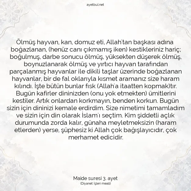 Ayetbul | Kuran Mealleri | Quran | Maide suresi 3. ayet
