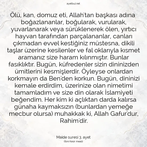Ayetbul | Kuran Mealleri | Quran | Maide suresi 3. ayet