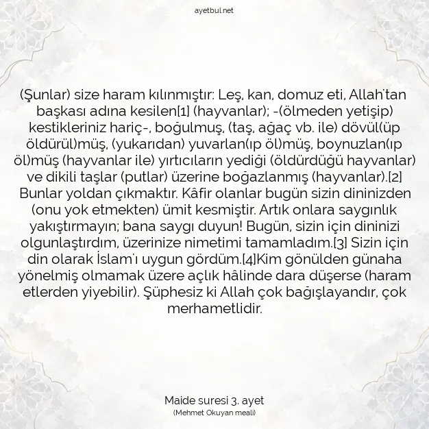 Ayetbul | Kuran Mealleri | Quran | Maide suresi 3. ayet