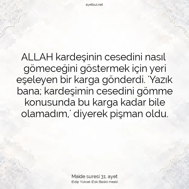 Ayetbul | Kuran Mealleri | Quran | Maide suresi 31. ayet